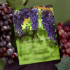 Wine and Dine
